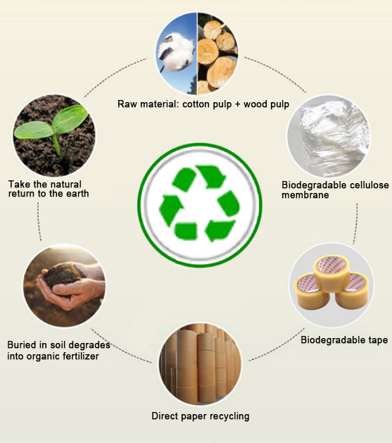 Degradation of Cellulose Tape